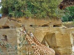 149 BIO PARC DE DOUE LA FONTAINE 2- 2016_000037